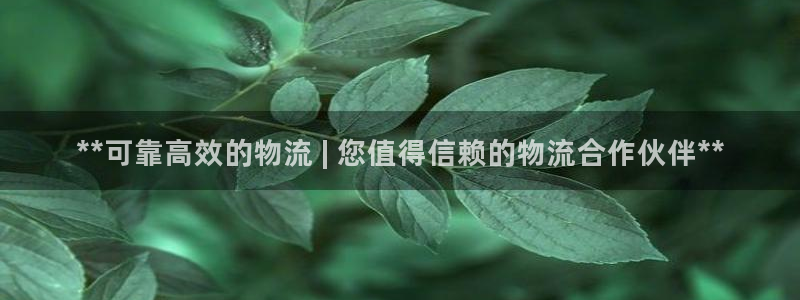 28圈系统自动保护