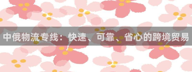 28圈注册登录链接流程：中俄物流专线：快速、可靠、省心的跨境