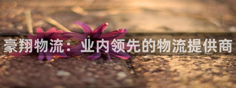 28圈注册链接教程：豪翔物流：业内领
