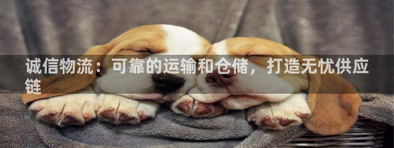 28圈游戏链接