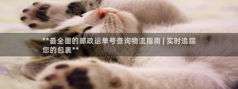 28圈模拟器在线玩：**最全面的邮政