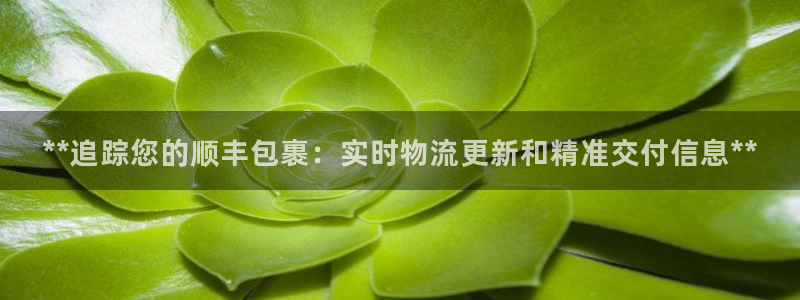 28圈加拿大能提现吗