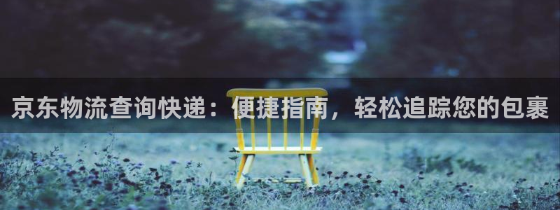 28圈官网开奖结果预测：京东物流查询