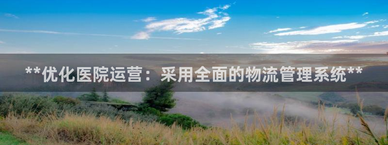 28圈充值：**优化医院运营：采用全