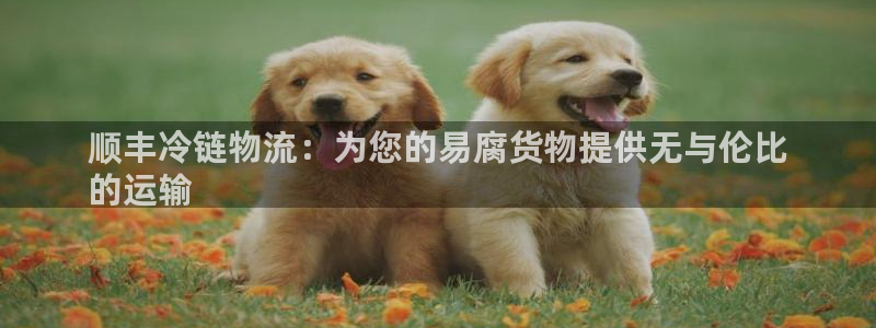 28圈提款一直没到