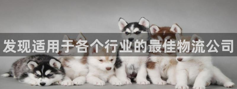 28圈免费充钱：发现适用于各个行业的