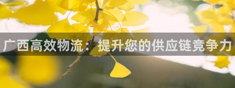 加拿大28圈是什么：广西高效物流：提升您的供应链竞争力