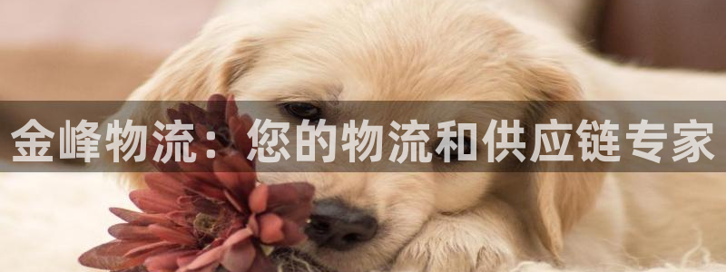28圈注册链接：金峰物流：您的物流和