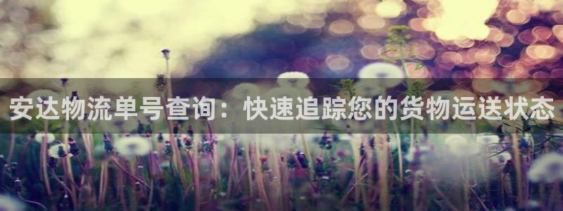 28圈圈