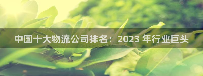 28圈昵称：中国十大物流公司排名：2