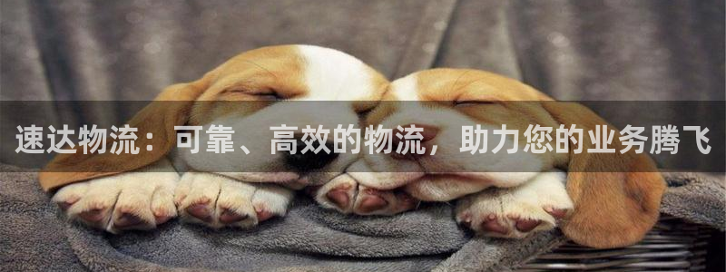 28圈分分28输了能不能退