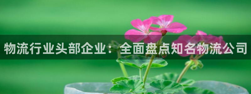28圈客服一直不回消息怎么办：物流行