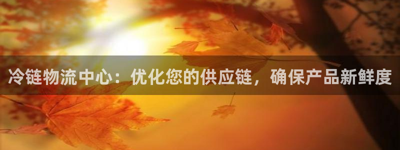 28圈软件有什么用：冷链物流中心：优化您的供应链，确保产品新