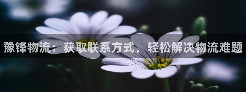 28圈.ccmpcios：豫锋物流：