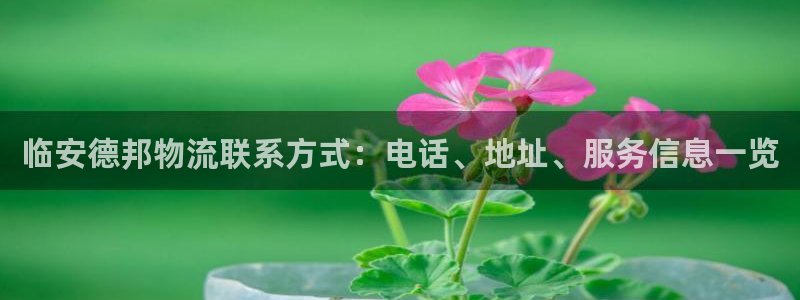 28圈登录不上咋回事：临安德邦物流联