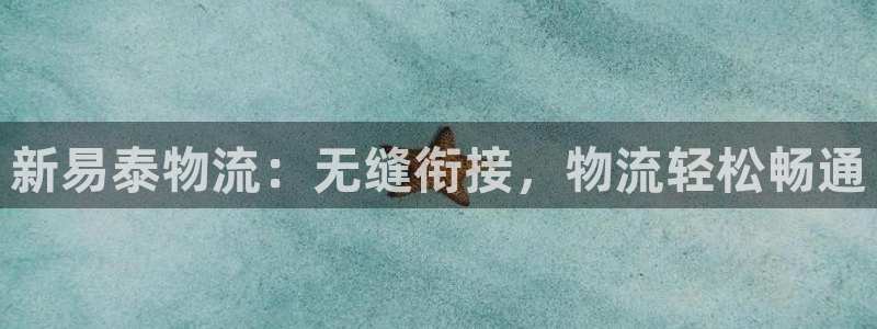 28圈登录网：新易泰物流：无缝衔接，物流轻松畅通