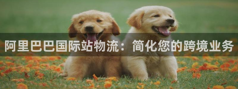 28圈官网注册：阿里巴巴国际站物流：