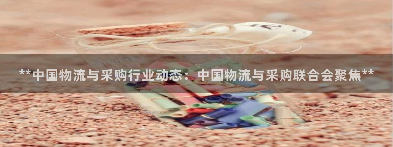 28圈口内径是多大