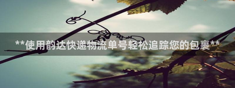 28圈.ccm官网：**使用韵达快递
