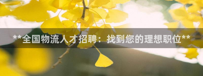 28圈官网开奖结果预测：**全国物流