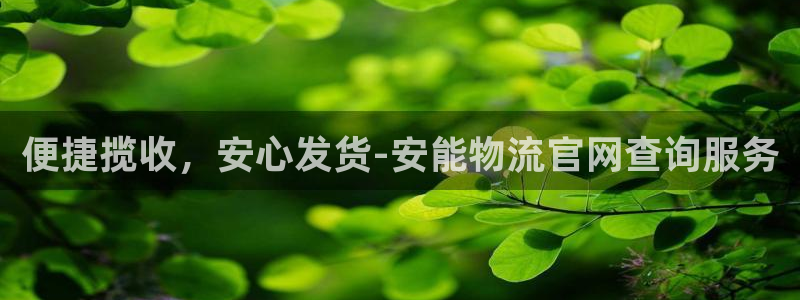 28圈分分28预测