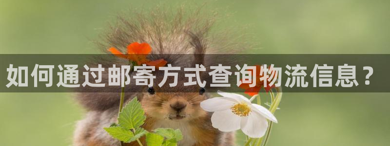28圈p图上分下款通道