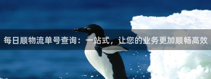 28圈注册网页版
