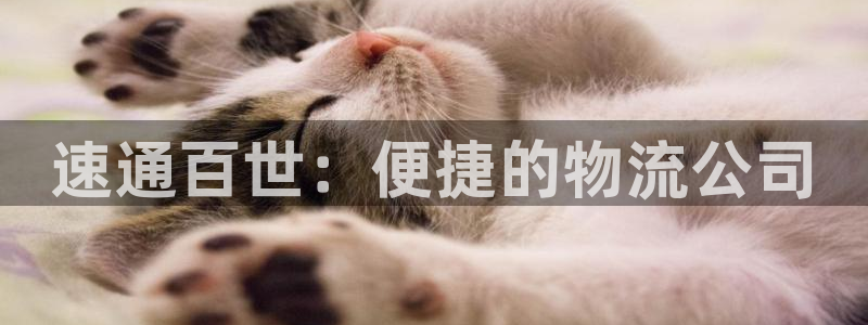 28圈在线预测