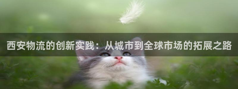 28圈.ccmpc预测