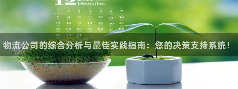28圈官方官网