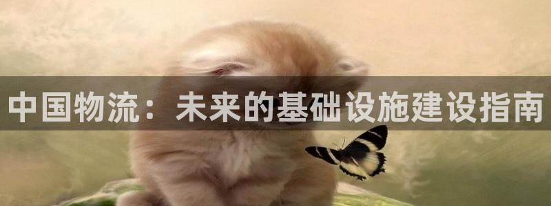 28圈网赌案件