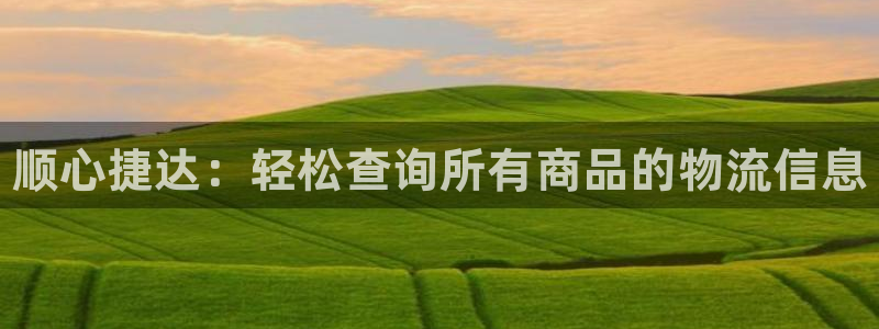 28圈软件总是闪退怎么回事：顺心捷达