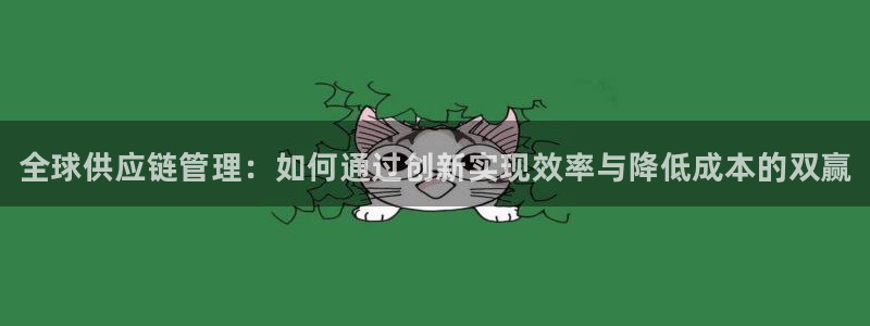28圈怎么下载：全球供应链管理：如何