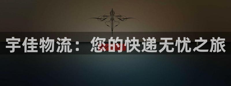 28圈app赢了500万：宇佳物流：您的快递无忧之旅