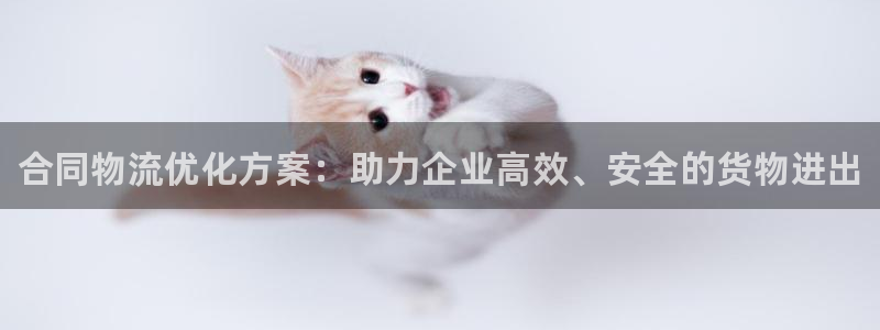 28圈是南宫旗下的吗：合同物流优化方