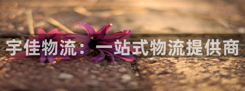 28圈登录不上咋回事：宇佳物流：一站