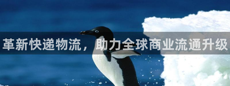 28圈p图上分下款通道：革新快递物流