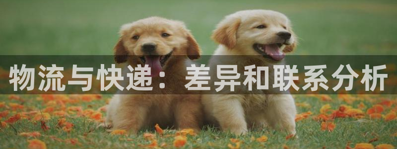 28圈官方网站是多少：物流与快递：差