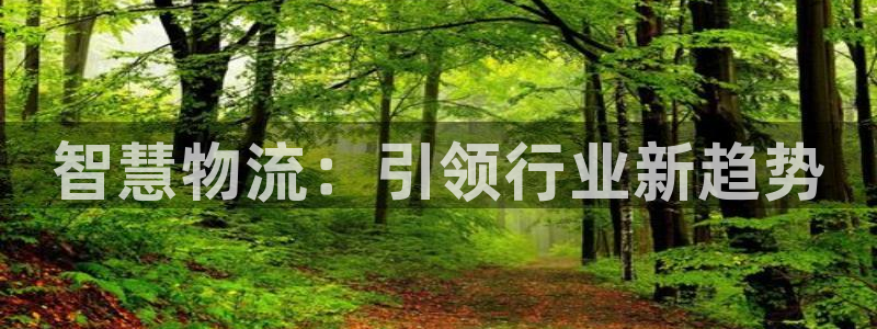 28圈.ccm2024：智慧物流：引