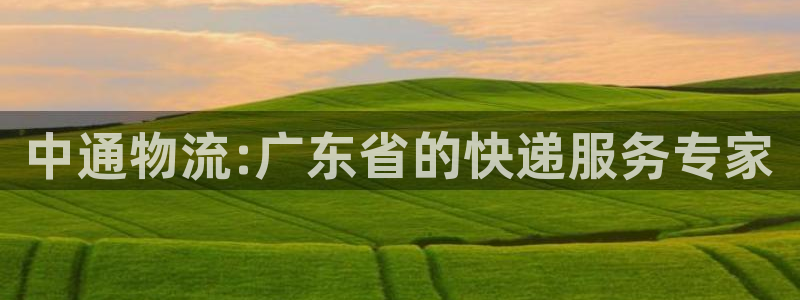 28圈官网注册：中通物流:广东省的快