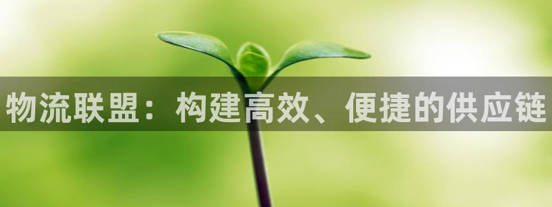 28圈辅助：物流联盟：构建高效、便捷