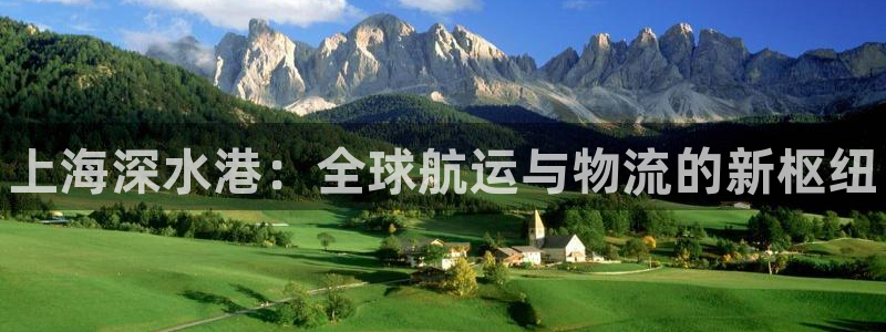 28圈如何看012路计划：上海深水港