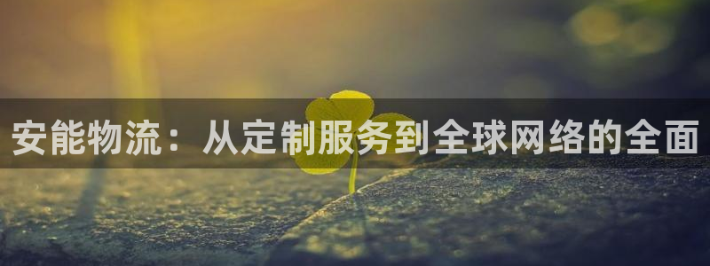 28圈游戏最新版：安能物流：从定制服务到全球网络的全面