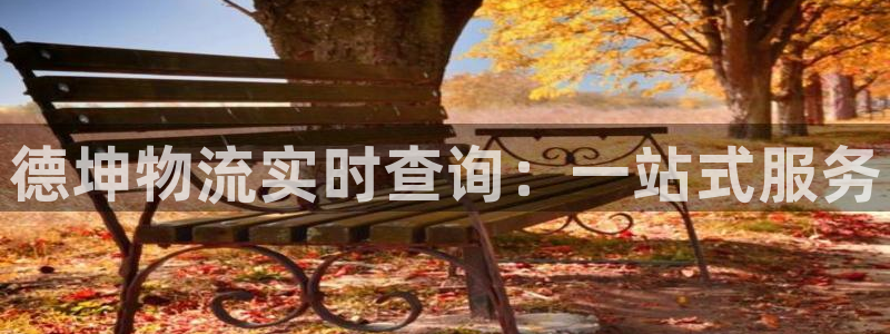 28圈登录网：德坤物流实时查询：一站