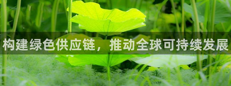 28圈自行车图片：构建绿色供应链，推动全球可持续发展