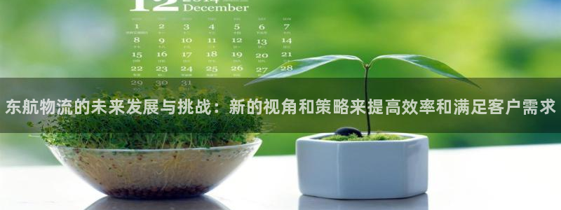 28圈注册网站APP：东航物流的未来
