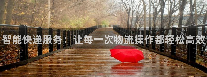 28圈加拿大走势：智能快递服务：让每一次物流操作都轻松高效