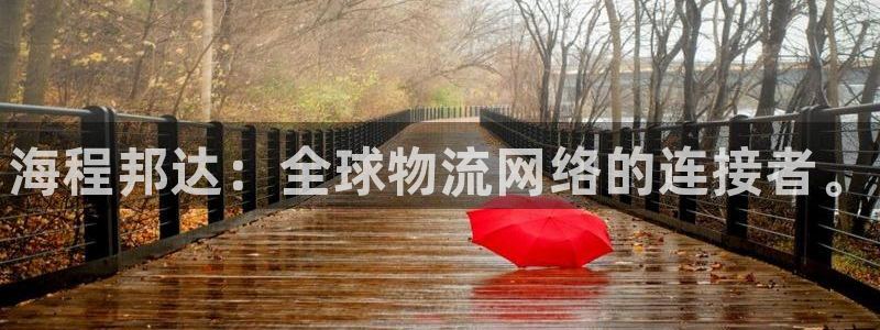 28圈加拿大是什么意思：海程邦达：全球物流网络的连接者。