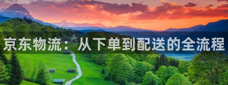 28圈官方平台：京东物流：从下单到配